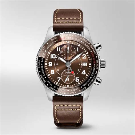 iwc temerario|IW395003.